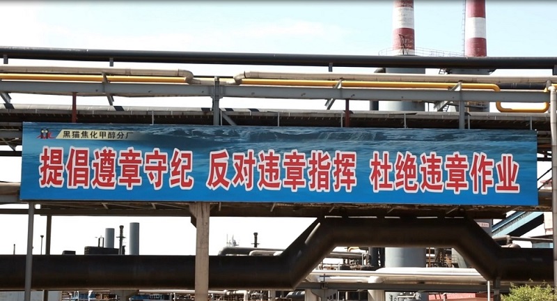 面對面“把脈問診” 實打實“祛病強身”