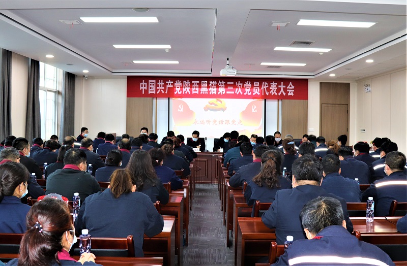 高質量打造民營企業黨建工作新標桿