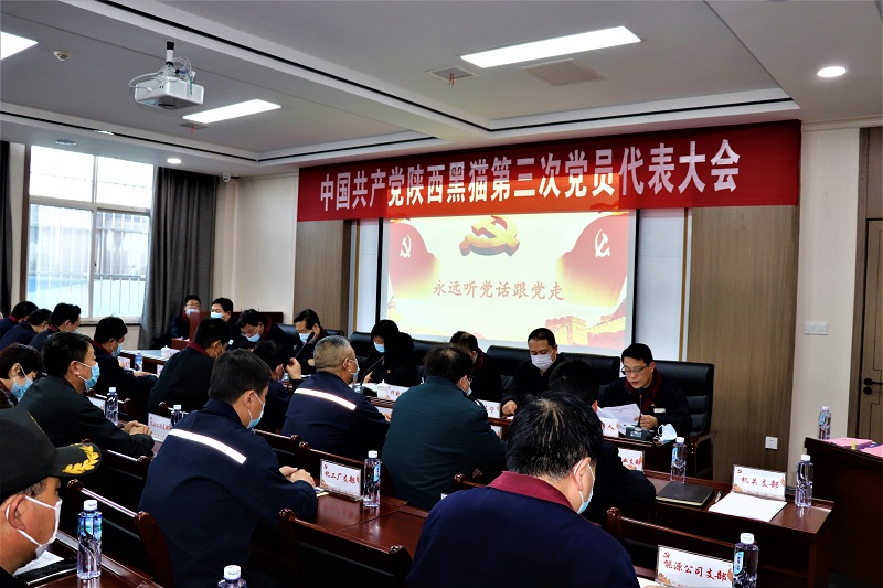 高質量打造民營企業黨建工作新標桿