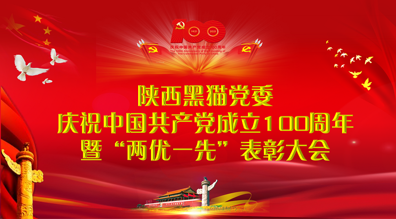 賡續紅色血脈  汲取前行力量  高質量打造民營上市公司黨建品牌