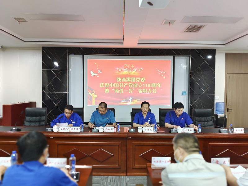 賡續紅色血脈  汲取前行力量  高質量打造民營上市公司黨建品牌
