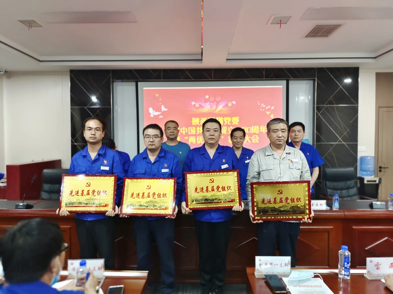 賡續紅色血脈  汲取前行力量  高質量打造民營上市公司黨建品牌