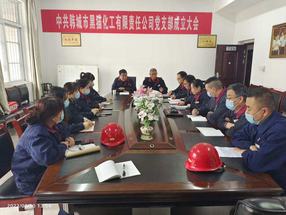 鍛鑄黨建品牌，打造標桿企業