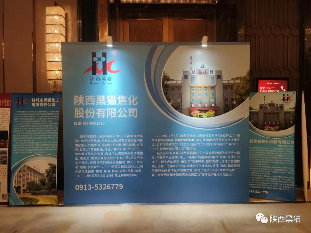 陜西黑貓受邀參加BDO及其衍生物發展論壇